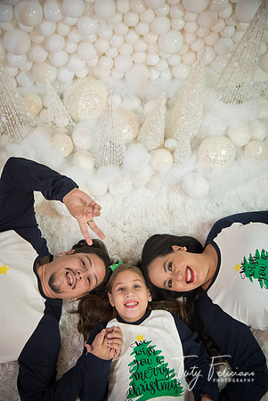 2018-fam-272