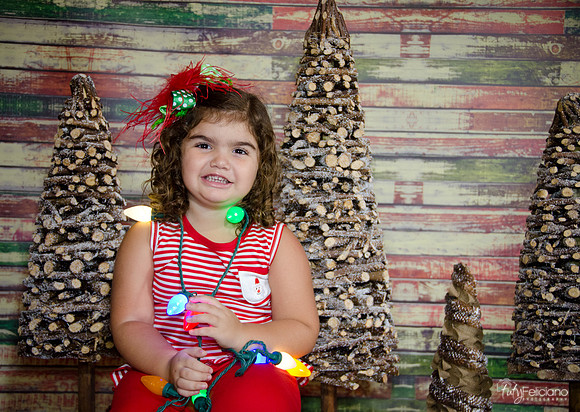 Navidad 2014-1585