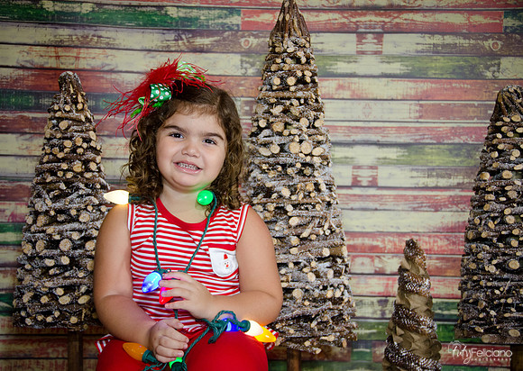 Navidad 2014-1587