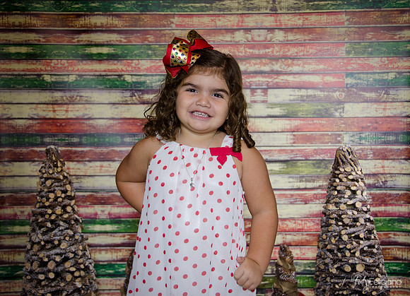 Navidad 2014-1185