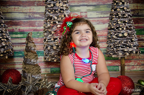 Navidad 2014-1615