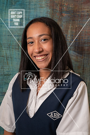 Adianez 4-2490