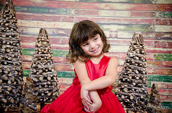 Navidad2014-121598