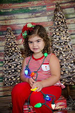 Navidad 2014-1596