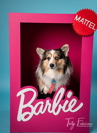 Barbie 2--2184