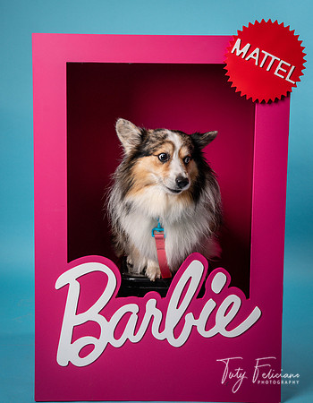 Barbie 2--2190