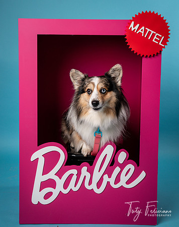 Barbie 2--2193