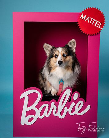 Barbie 2--2194