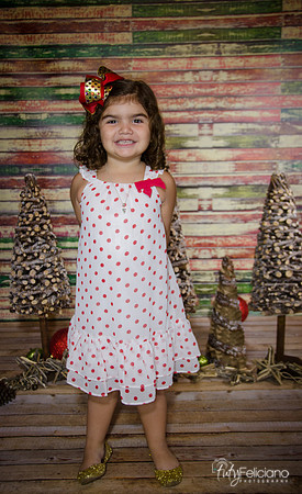 Navidad 2014-1142