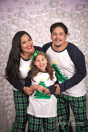 2018-fam-233