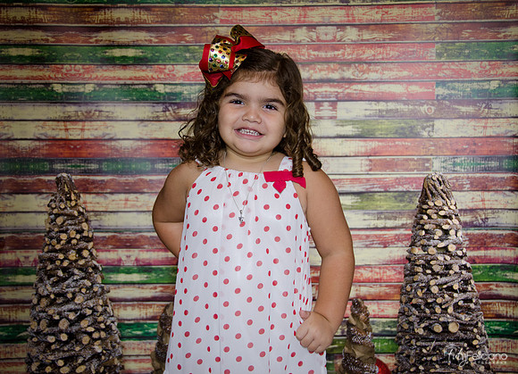 Navidad 2014-1183