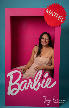 Barbie 2--1399