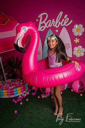 Barbie 2--1695