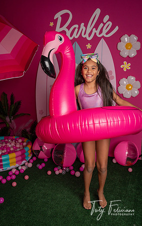 Barbie 2--1713
