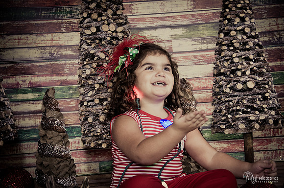 Navidad 2014-1610