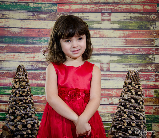 Navidad2014-121537