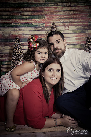 navidad 2014-2119