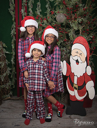 2017-Navidad-148