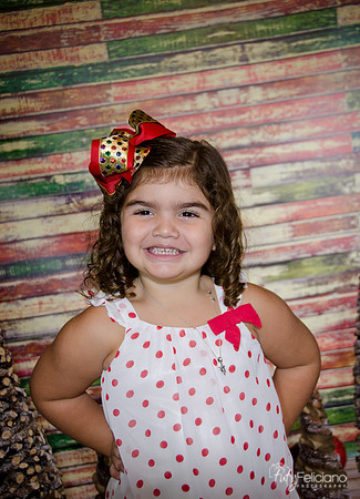 Navidad 2014-1205