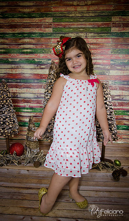 Navidad 2014-1165