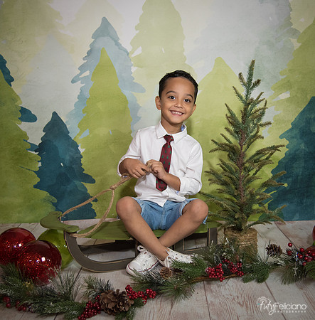 16navidad-127