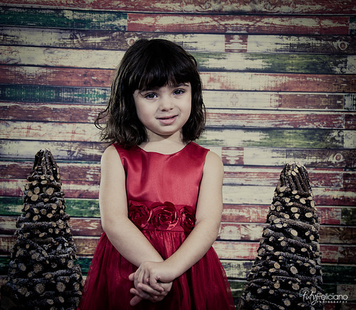 Navidad2014-121536