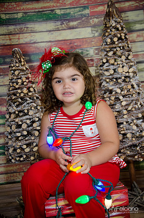 Navidad 2014-1599