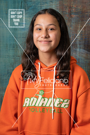 Adianez 4-2740