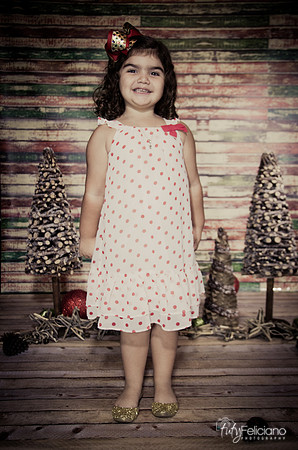Navidad 2014-1141