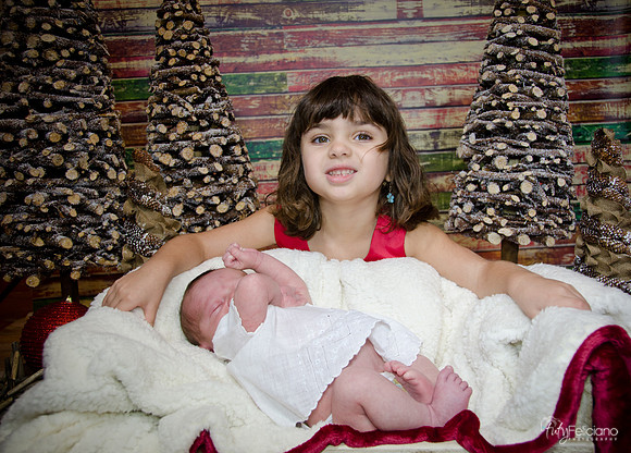 Navidad2014-121778