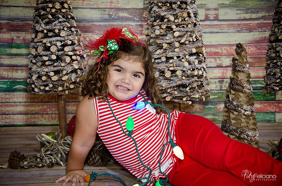 Navidad 2014-1609