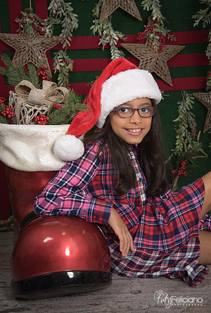 2017-Navidad-233