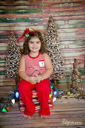 Navidad 2014-1574