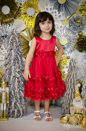 Navidad2014-121633