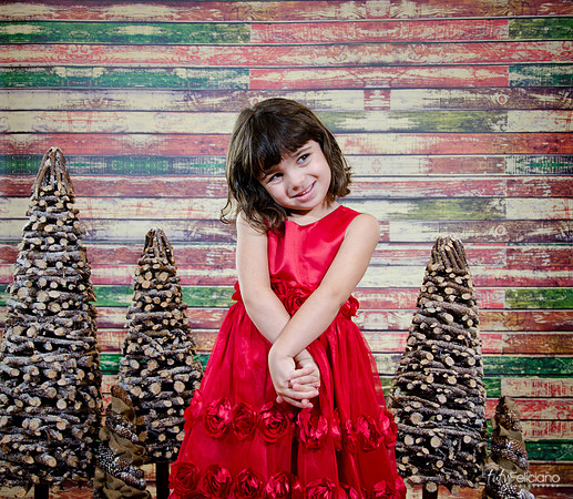 Navidad2014-121533
