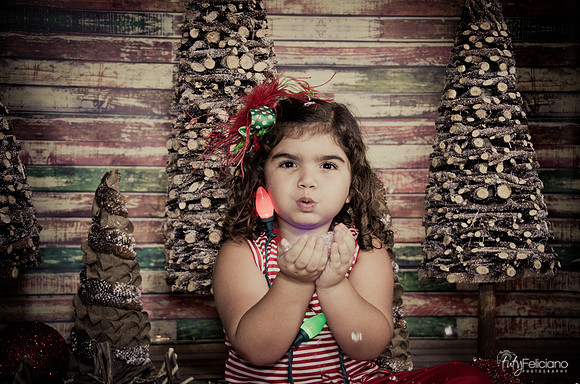 Navidad 2014-1627