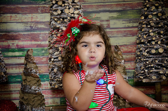 Navidad 2014-1612