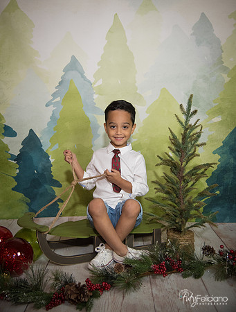 16navidad-111