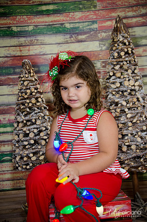 Navidad 2014-1593
