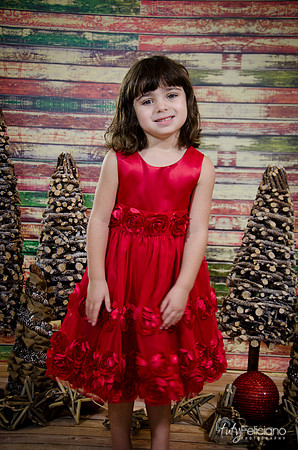 Navidad2014-121544