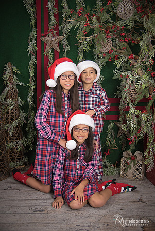 2017-Navidad-205