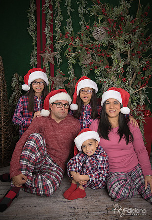 2017-Navidad-188