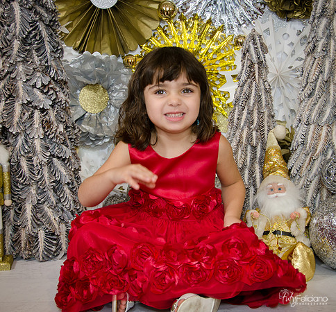 Navidad2014-121680