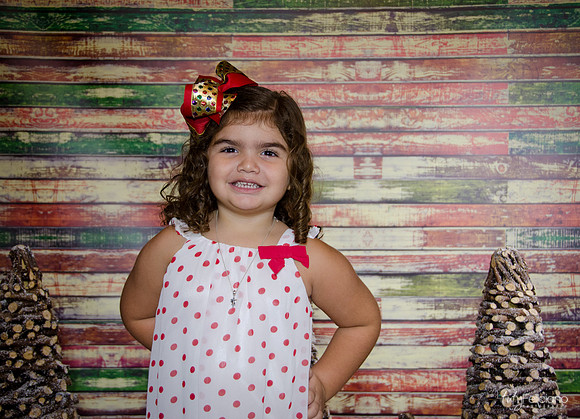 Navidad 2014-1189