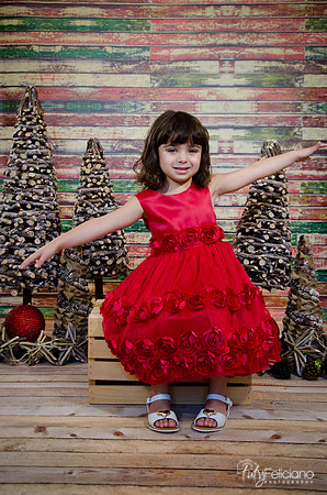 Navidad2014-121573