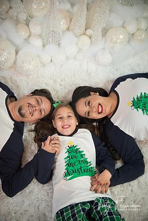 2018-fam-271