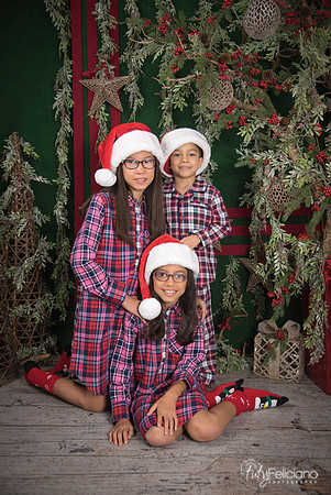 2017-Navidad-204