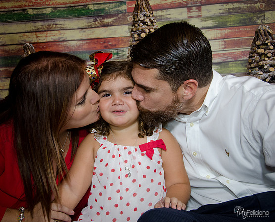 navidad 2014-2145