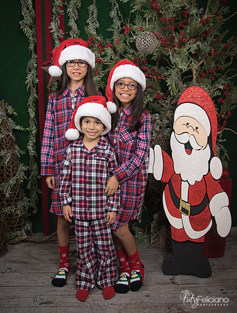 2017-Navidad-139