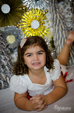 Navidad 2014-1429